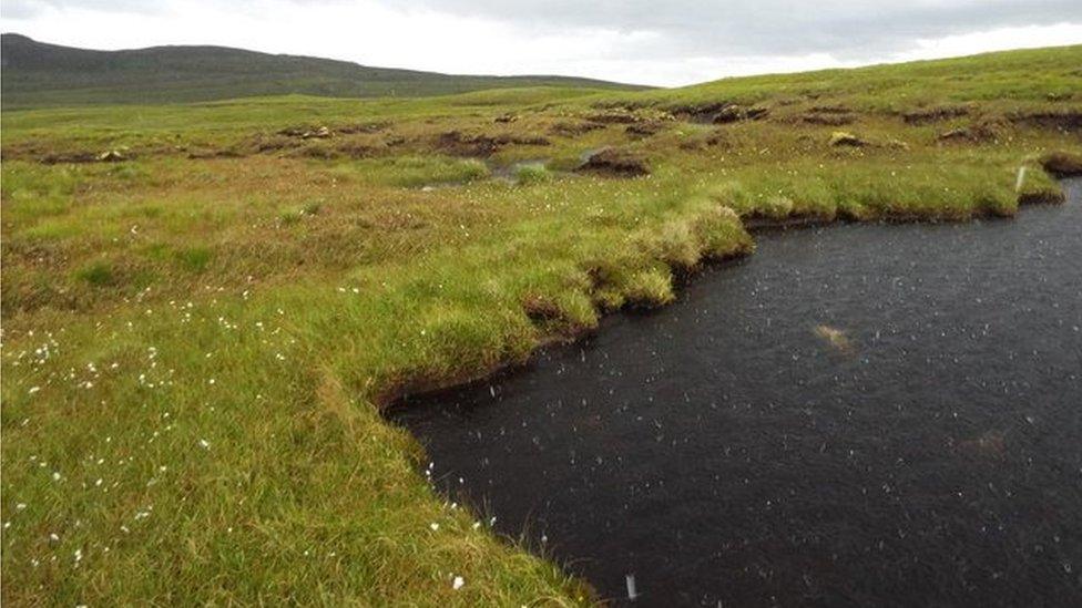 Part of A'Mhoine peninsula in Sutherland