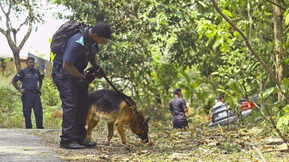 Police officer and dog searching