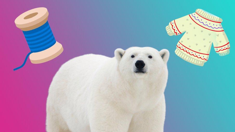 Thread, polar bear and jumper