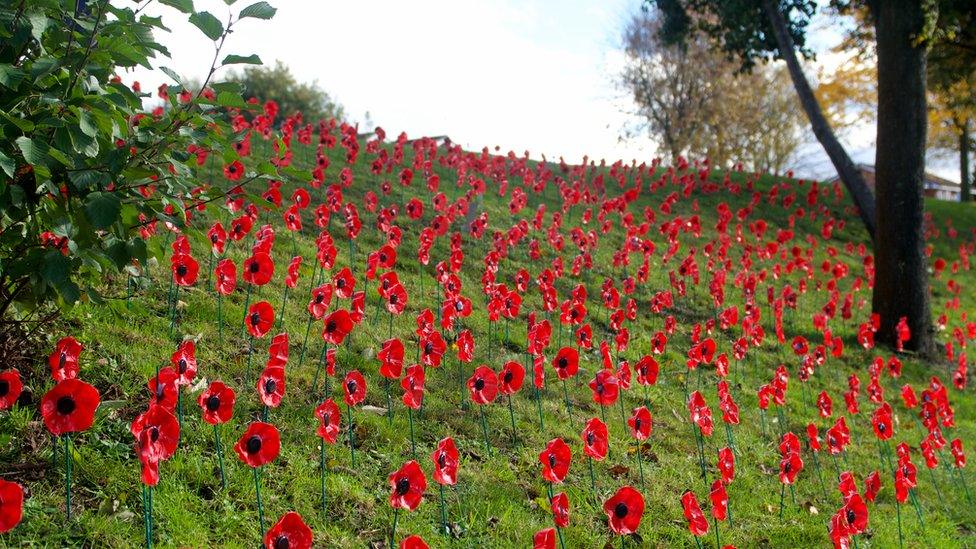 Stourbridge poppies