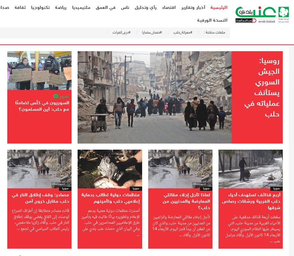 Screengrab from Enab Baladi website