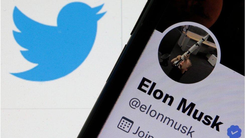 Elon Musk handle and Twitter logo