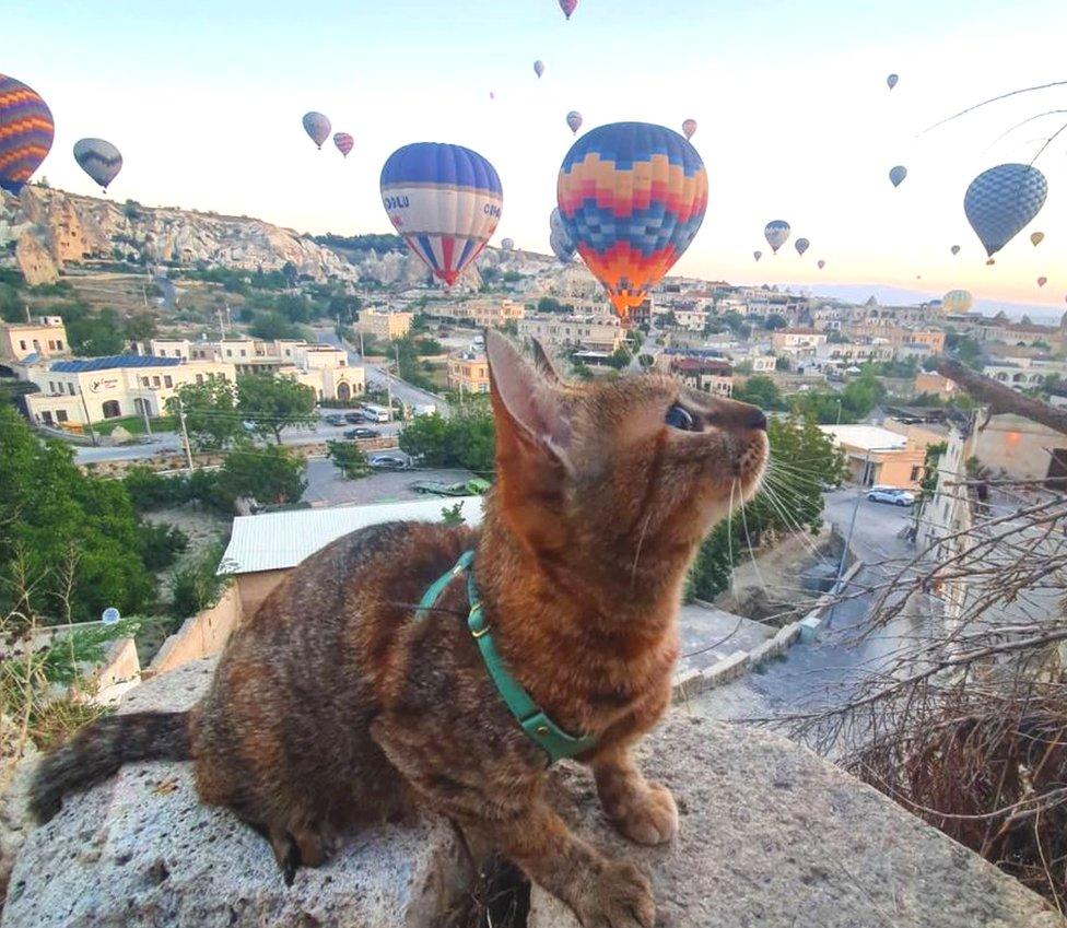 Hot air balloons at the Kelebek Special Cave Hotel