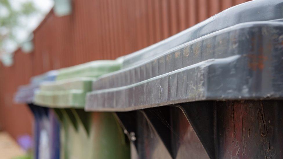 Stock image of a row of wheelie bins