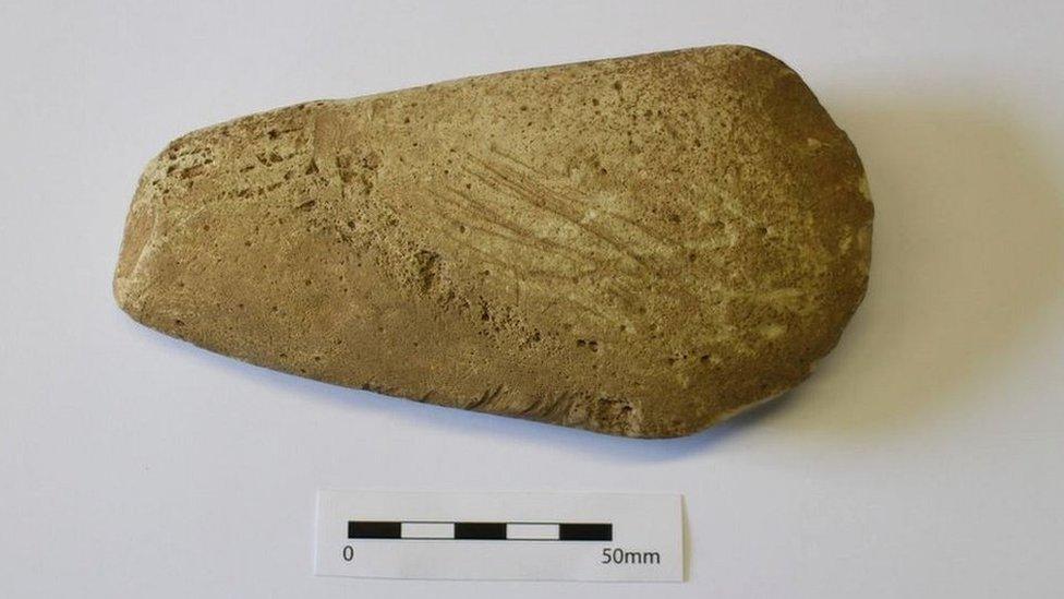 Stone axe head