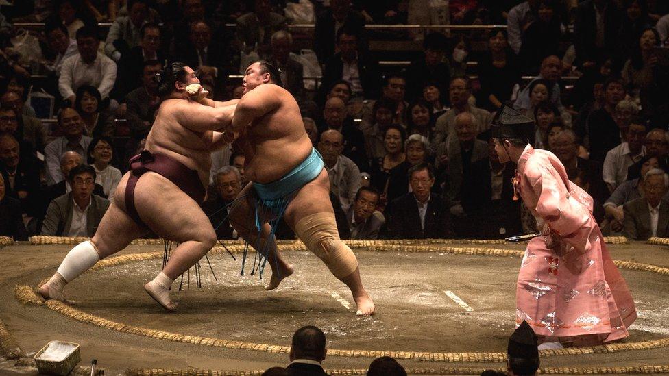 Japanese sumo wrestlers