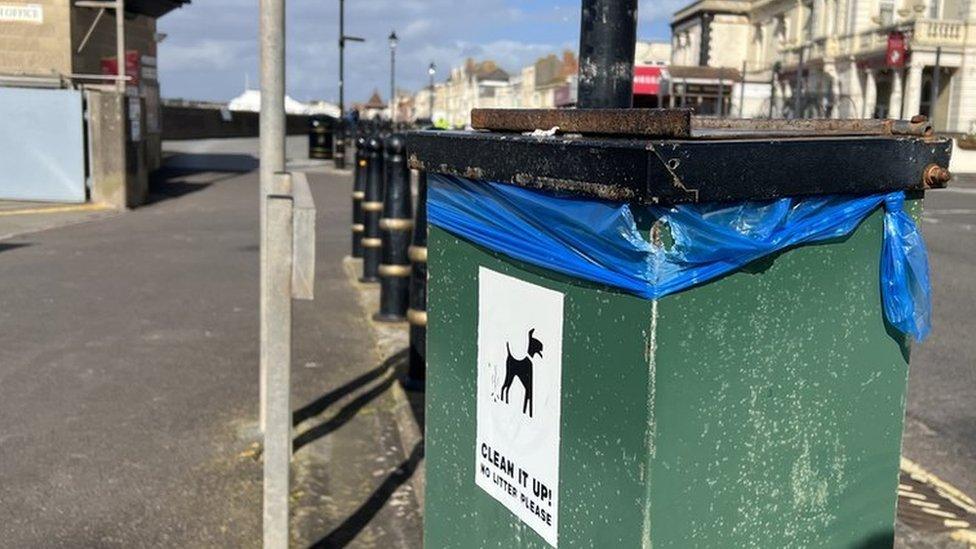 Green dog poo bin on the seafront