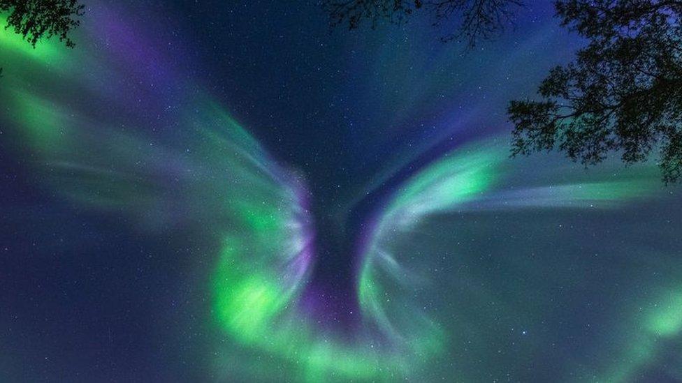 Northern lights shaped like a bird.