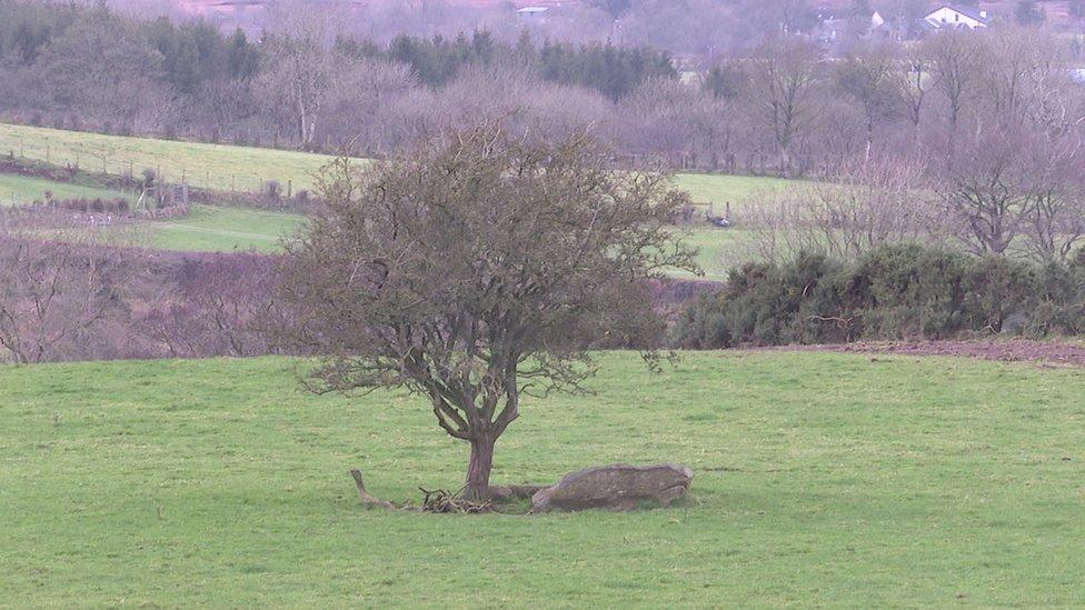 The alleged grave of Abhartach