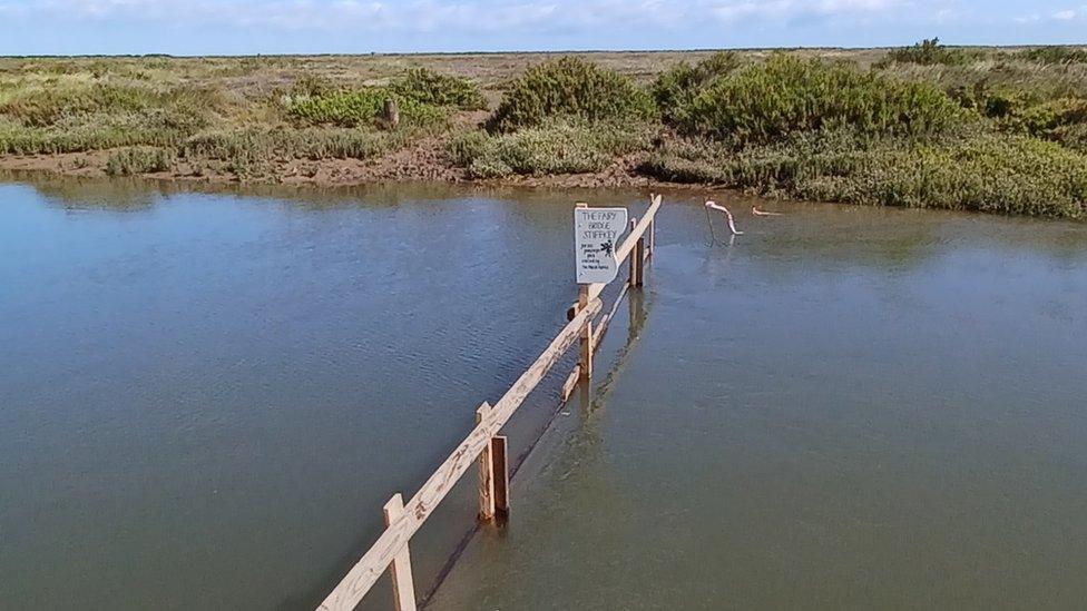 The makeshift bridge at high tide