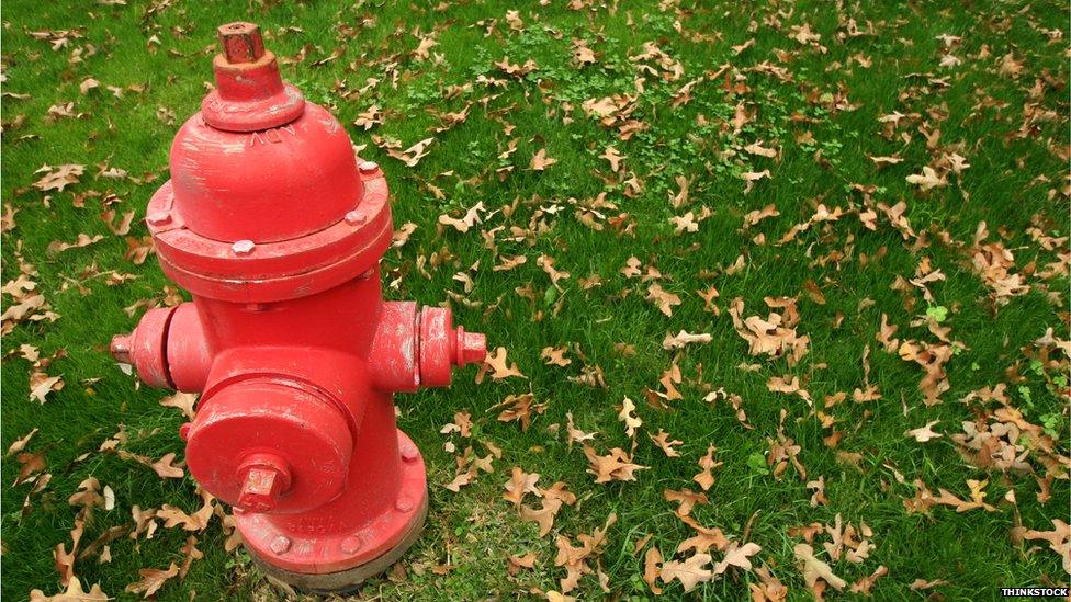 Fire Hydrant