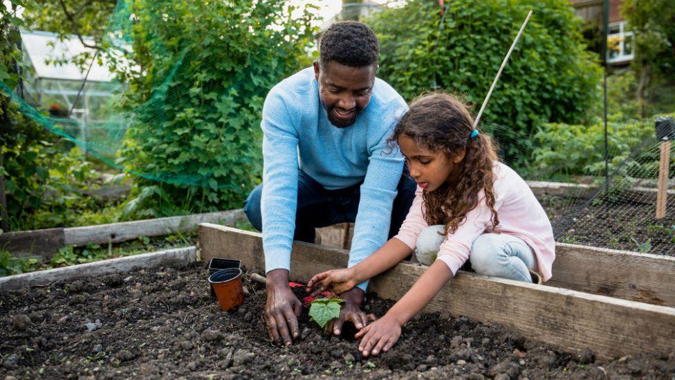 gardening