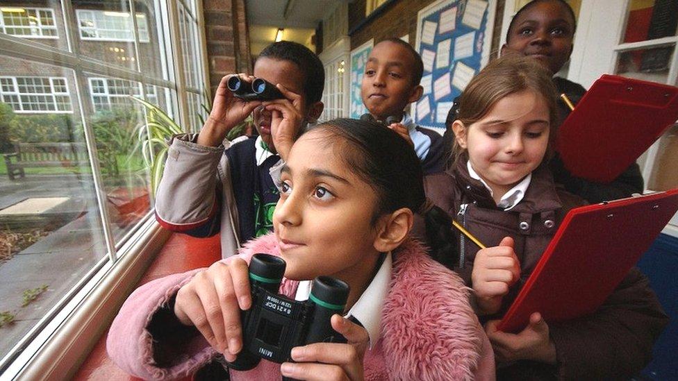 rspb big school birdwatch