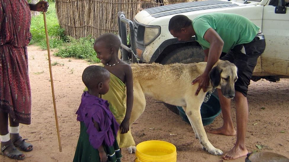 Washing a guard dog