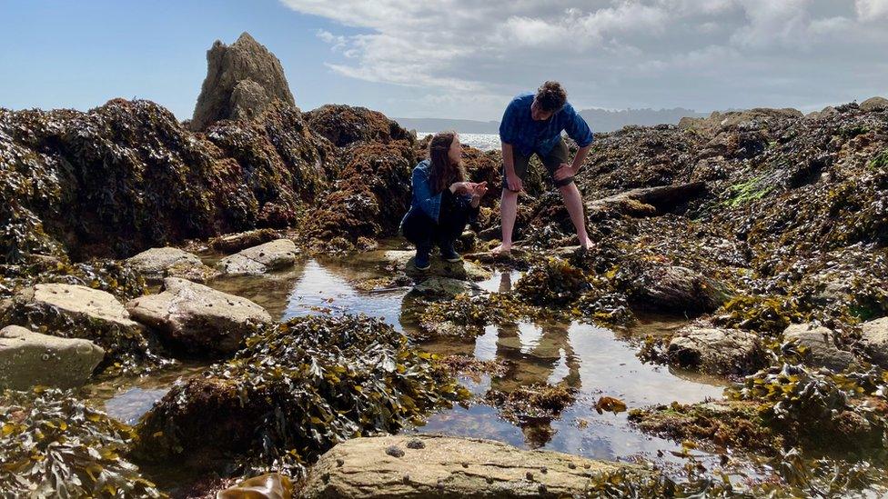 Rock pool