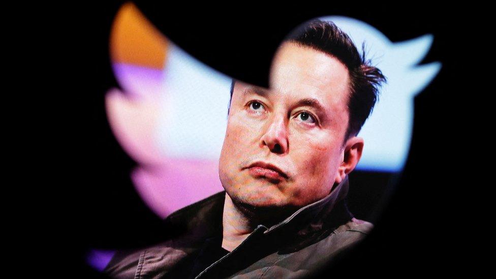 Elon Musk seen through a Twitter logo