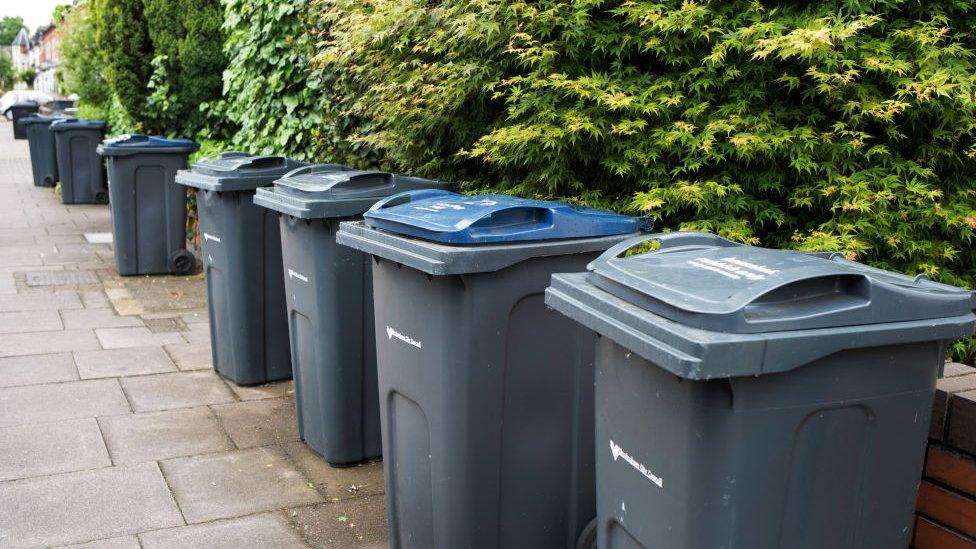 Wheelie bins in Birmingham