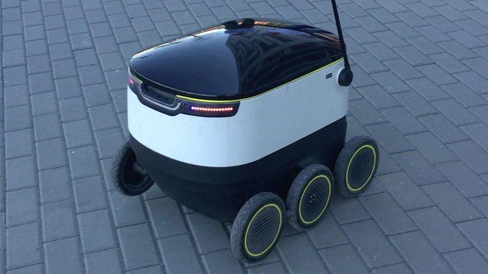 Delivery robot