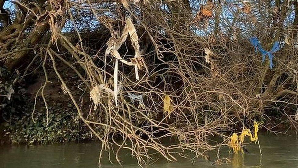 Plastic and debris caught in the trees hanging over the River Avon