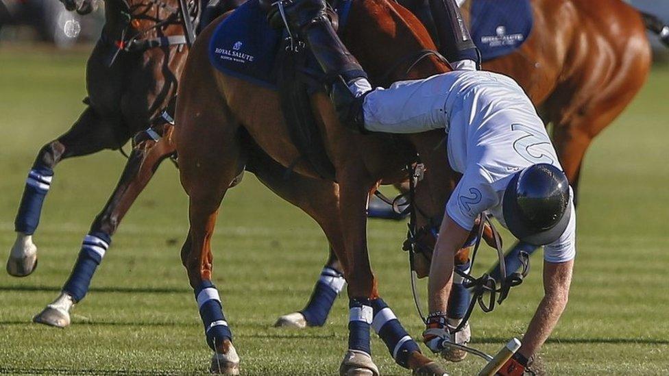 Prince Harry falling in polo match