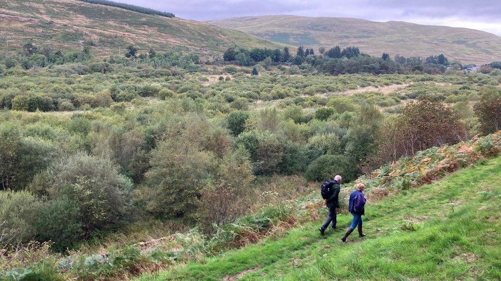 Ettrick Marshes