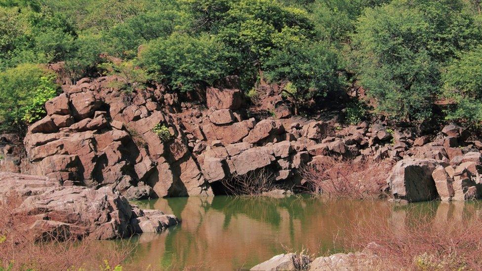 Volcanic rock formation in India, with bushes around