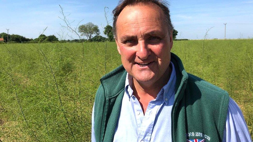 Farmer Andy Allen in front of his unpicked field