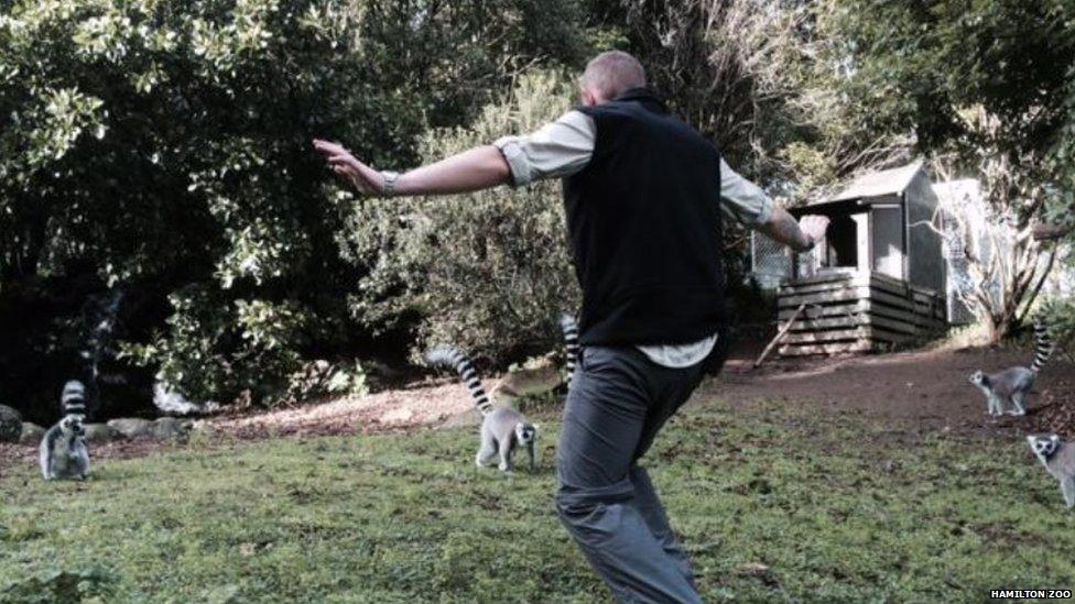 Keeper with lemurs