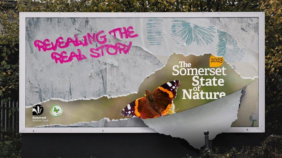 Photo of billboard of Somerset State of Nature report