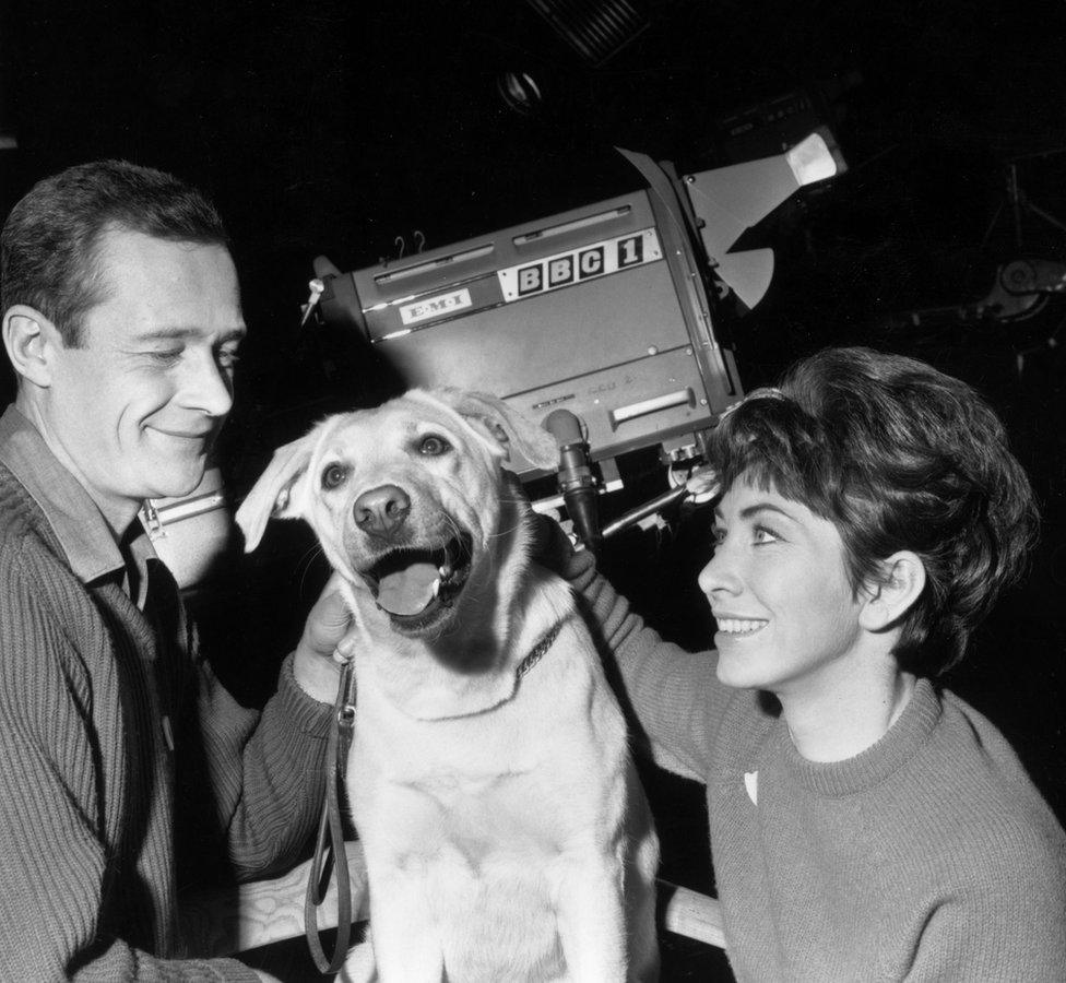 Honey the dog with presenters Christopher Trace and Valerie Singleton.