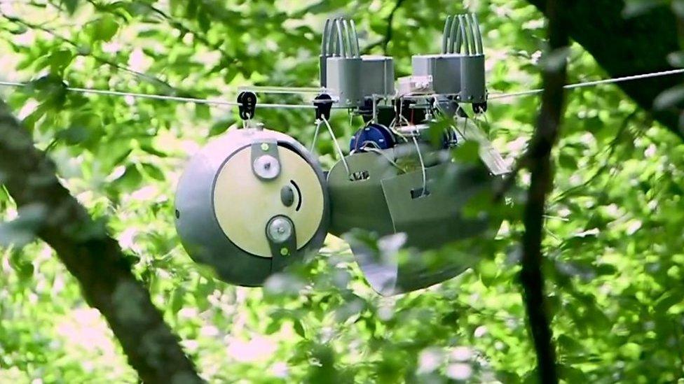 SlothBot robot