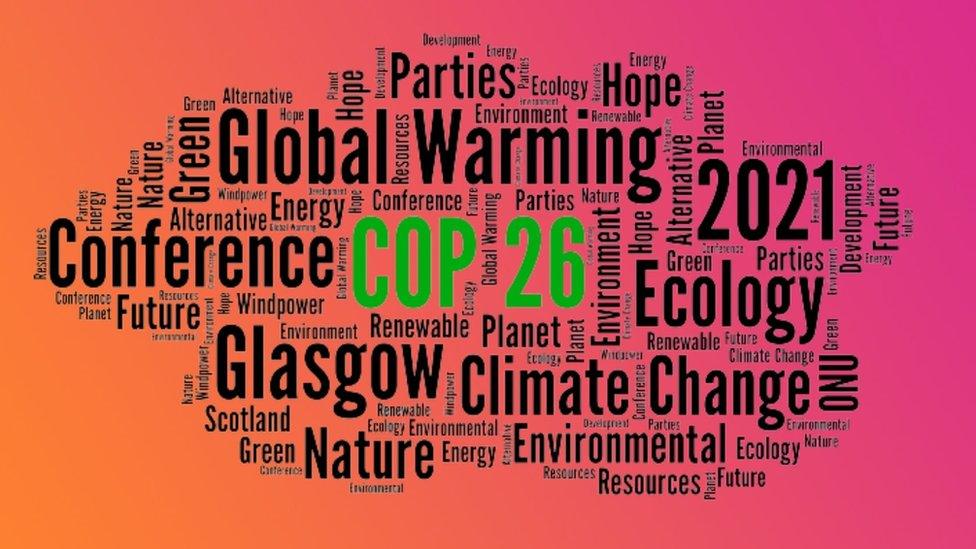 COP 26 words