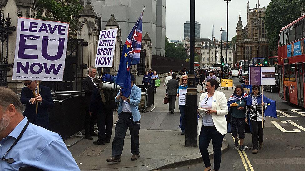 Pro-Brexit demonstrators