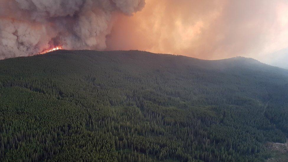 Flames and smoke are seen flickering on a mountain in BC