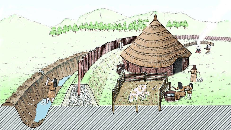 An artists representation of a Iron Age settlement