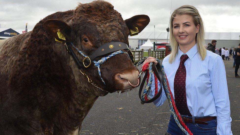 Leanne Green with her potential prize-winning bull on day one of the Balmoral Show