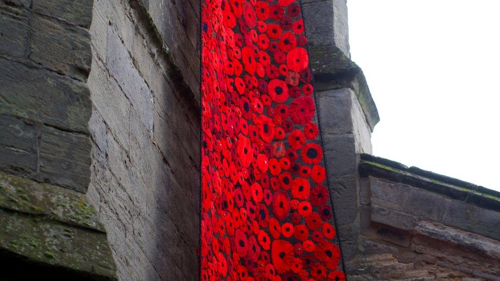 Wellesbourne poppies