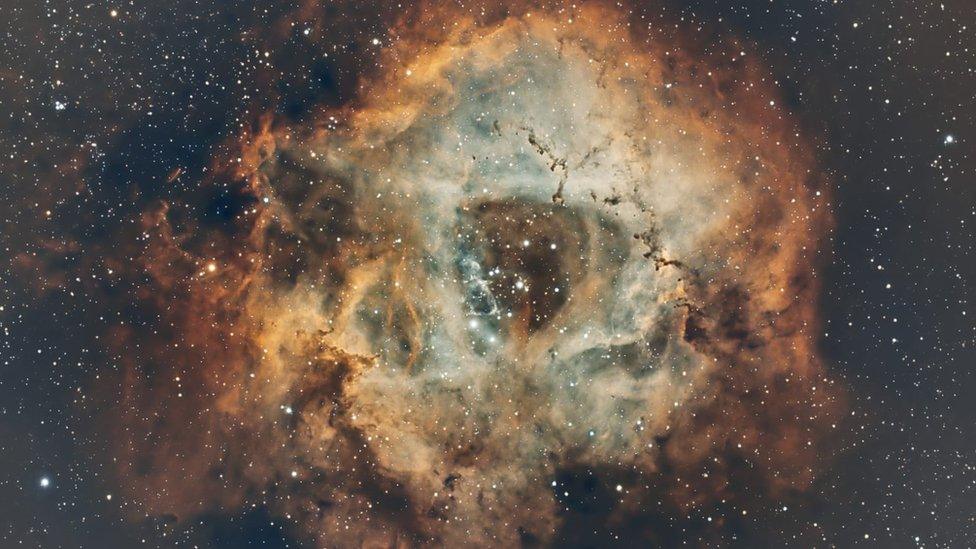 Rosette nebula, or the skull nebula, found in Monoceros and is 65 light years across