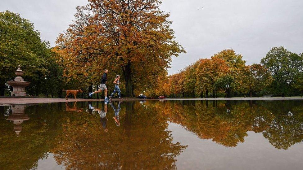 Greenwich Park puddle