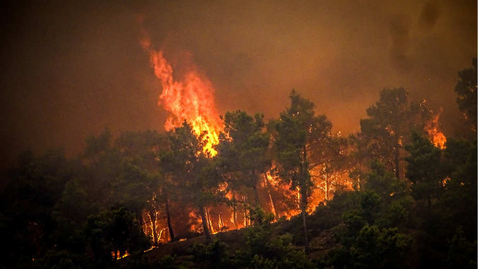 tan mewn coedwig yn Rhodos