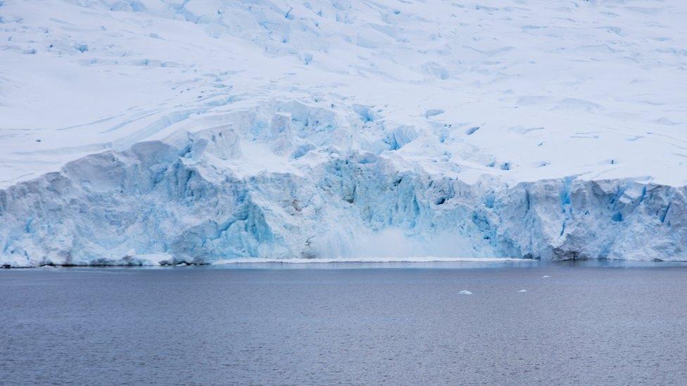 Ice shelves in the antarctic