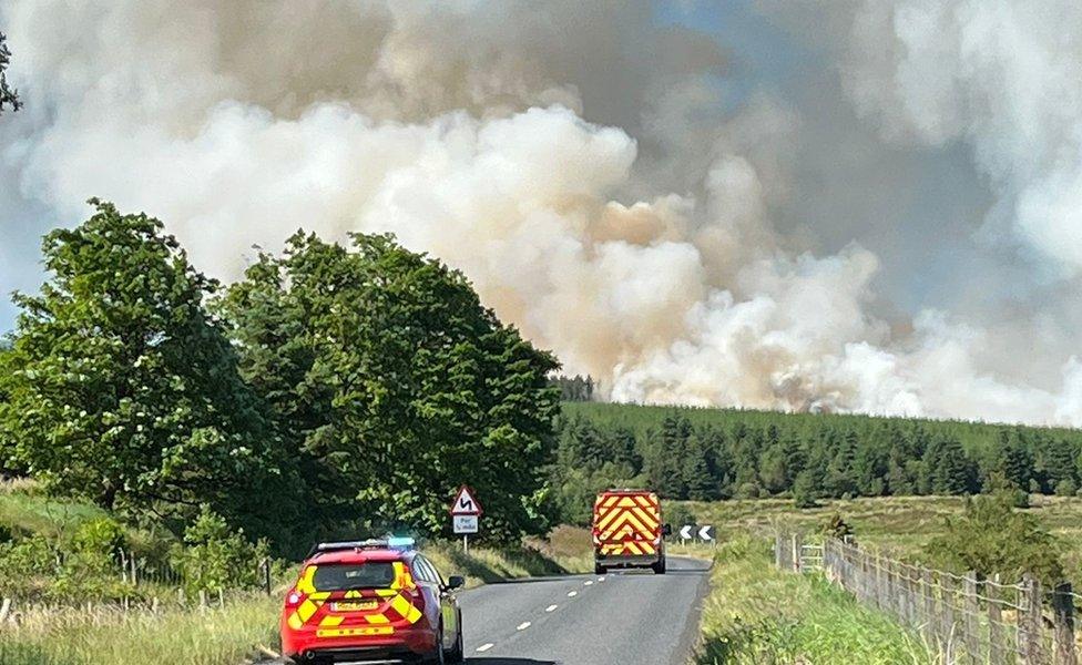 Wildfire cushendall