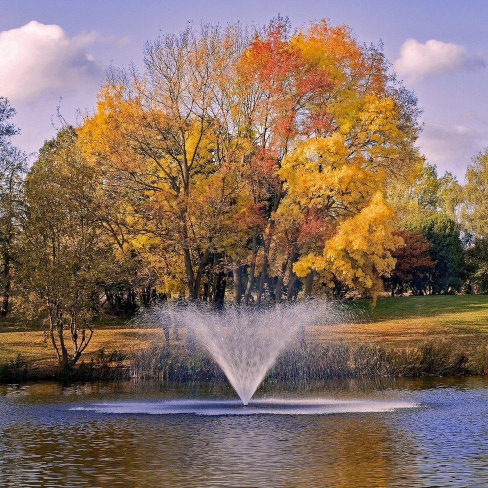 Wivenhoe Park at the University of Essex in Colchester