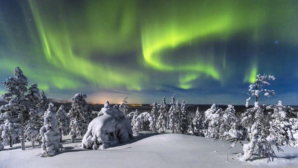 Finnish snow scene with Northern Lights