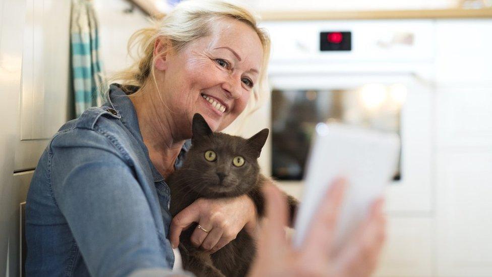 Woman taking selfie with cat