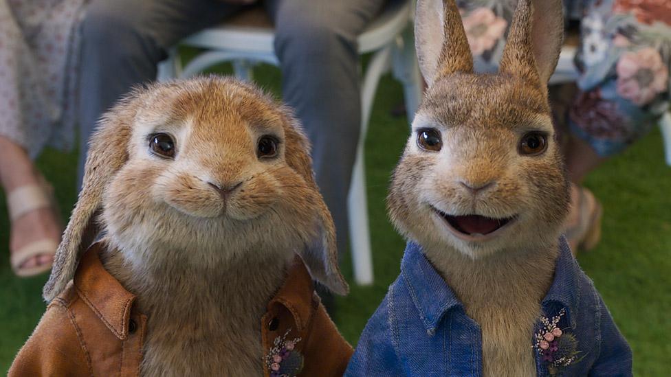 Peter Rabbit 2