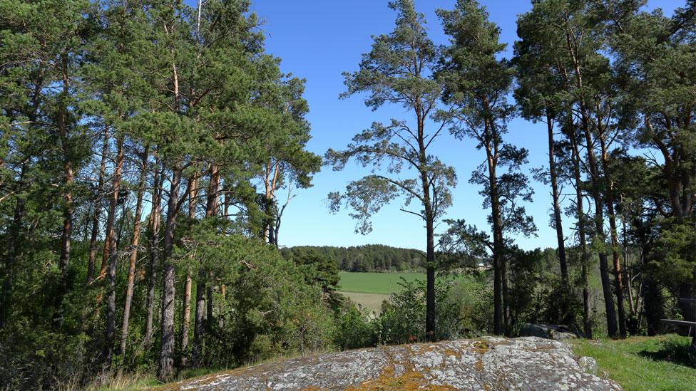 Hjälstaviken nature reserve