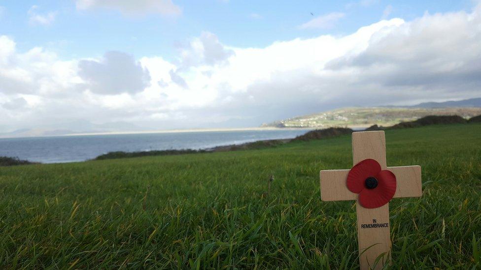 A single poppy on Shell Island, Gwynedd