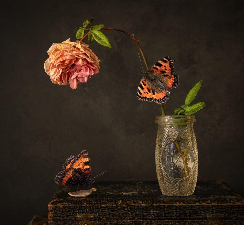 Flowers in a vase with two butterflies on them