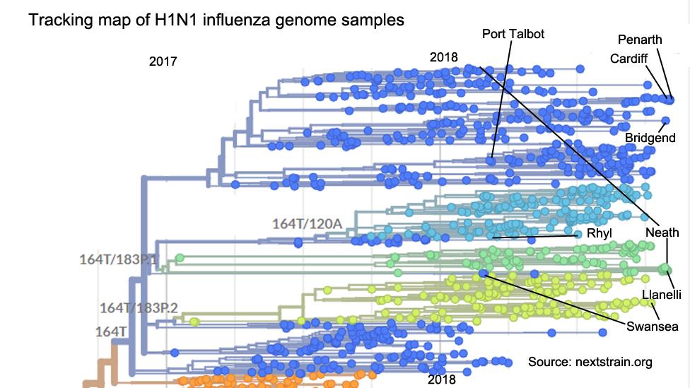 An example of the flu genome tracker - with the Welsh sample locations marked in